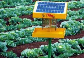  Solar Operated insect  killer 
